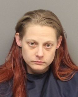 Mugshots from the county jail: 02-25-2019